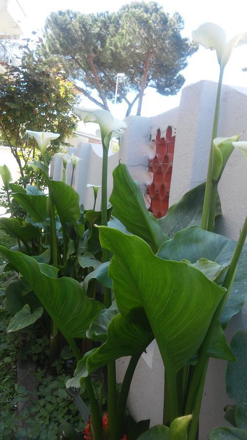 Florinda B&B Viareggio Exterior photo
